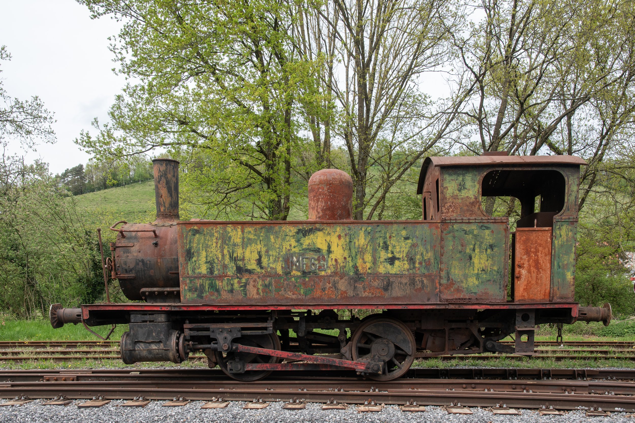 1DSC_3563.jpg
