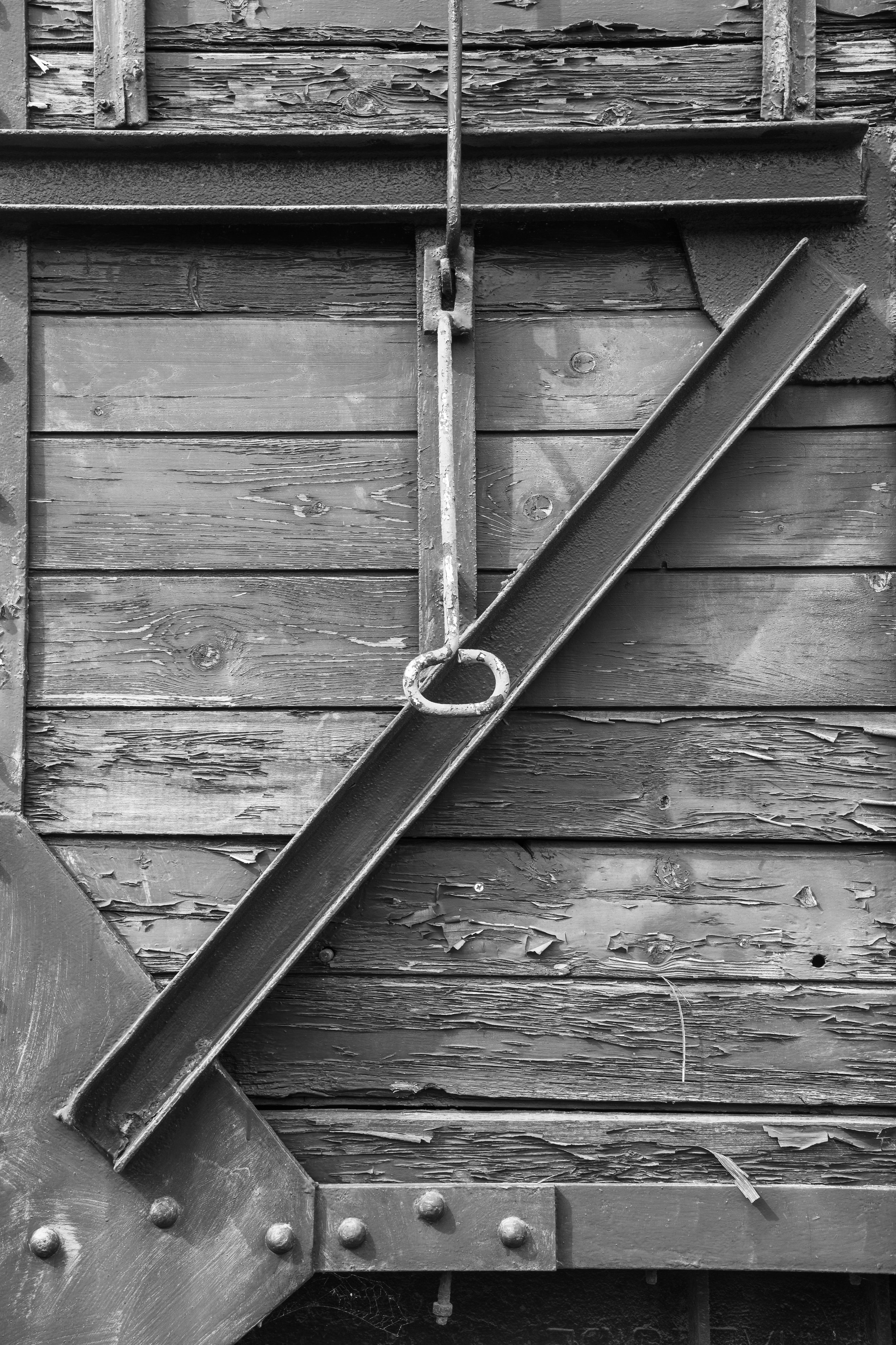 7DSC_3538.jpg