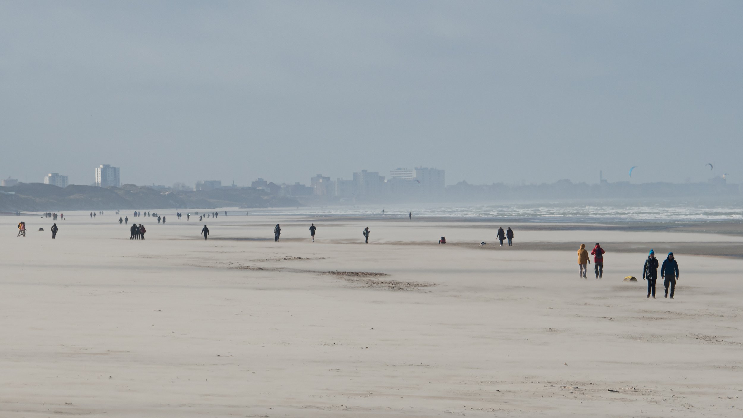 DSC_0035.jpg