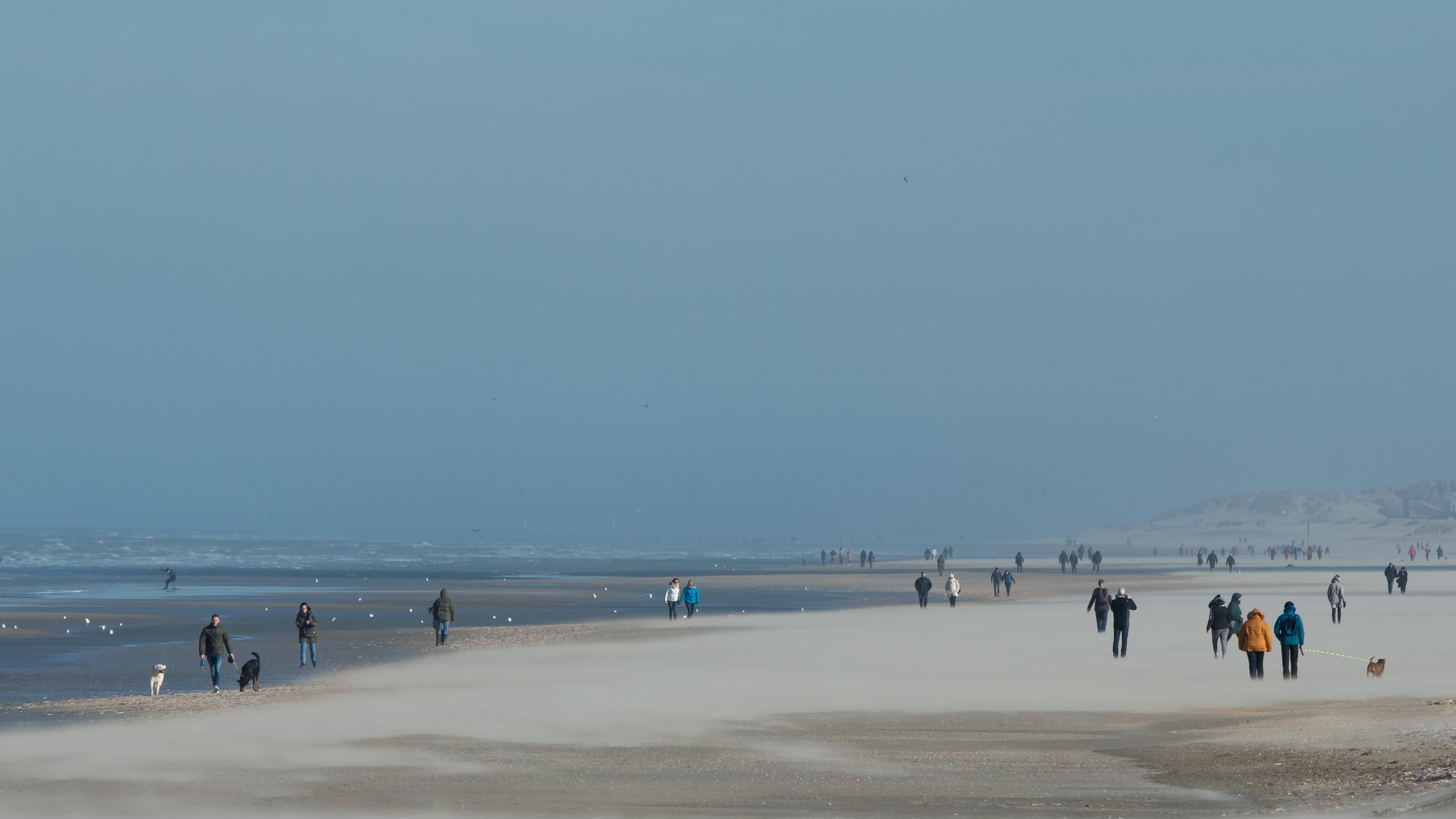 DSC_0040-2.jpg