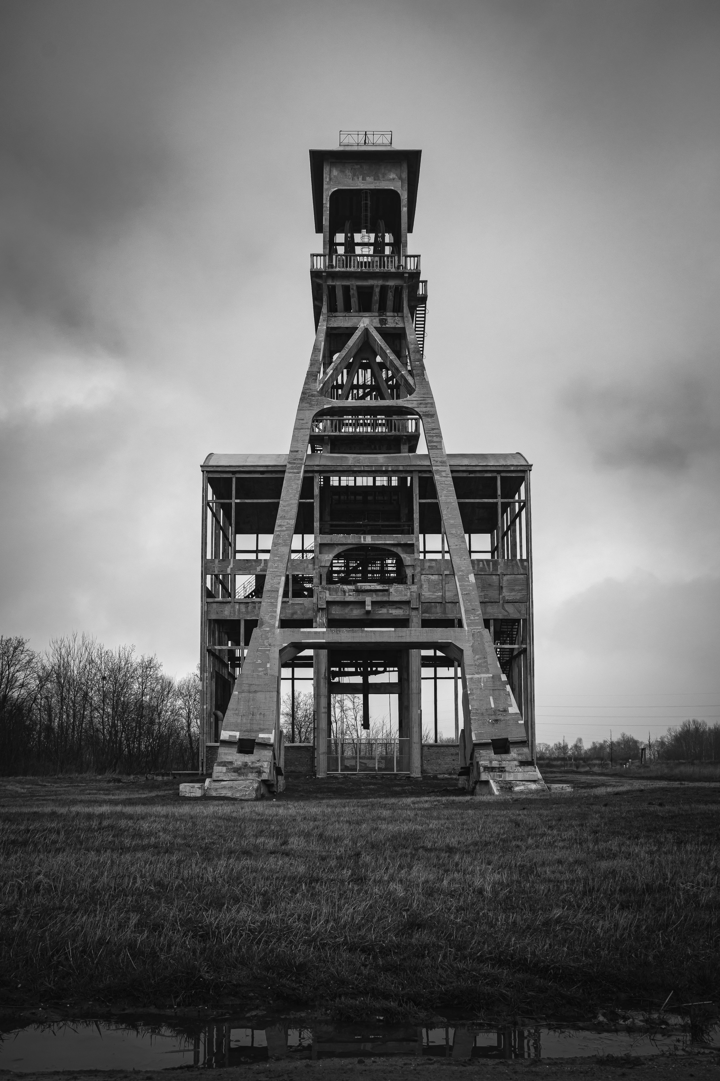 DSC_0504.jpg