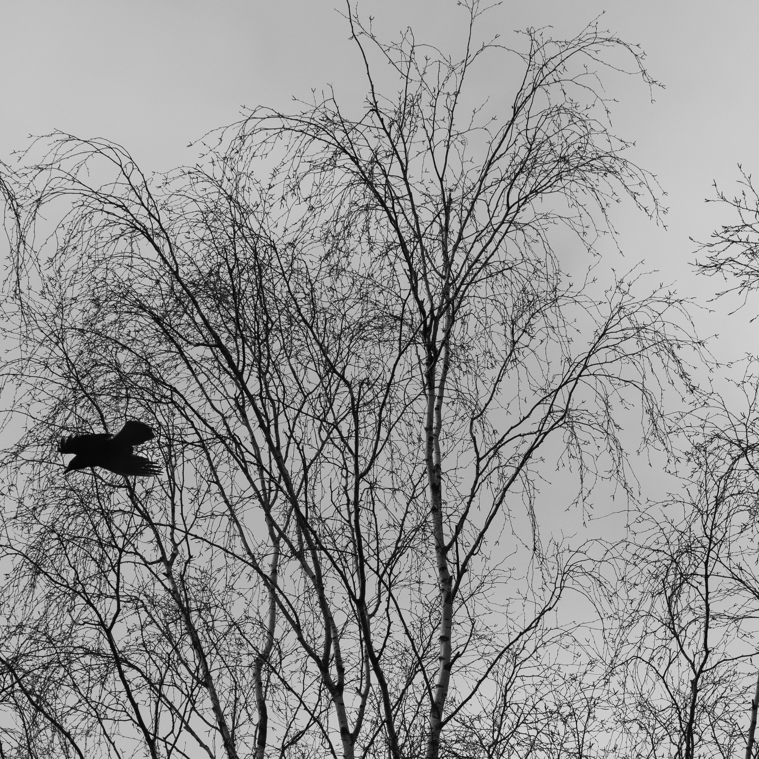 DSC_0567.jpg