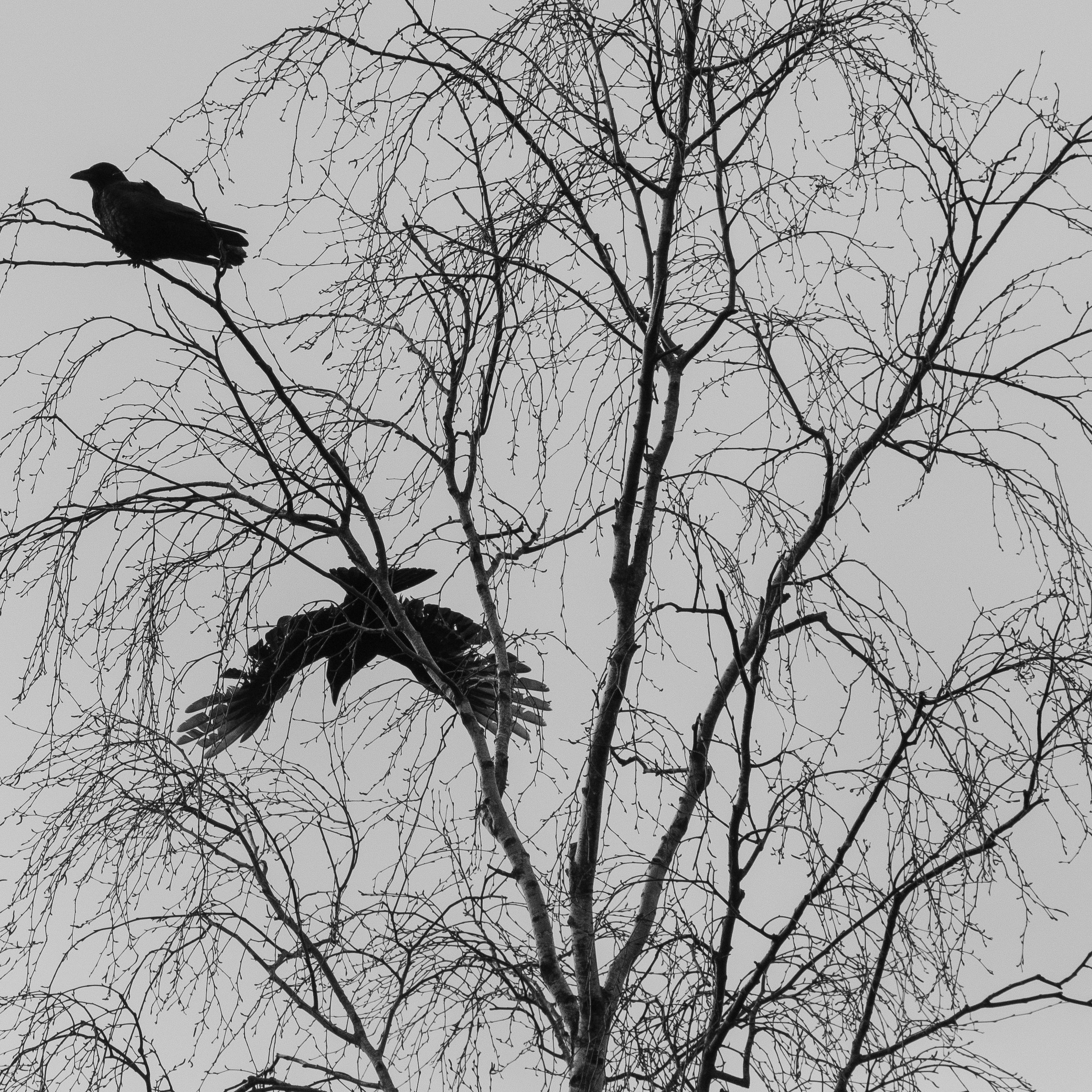 DSC_0577.jpg