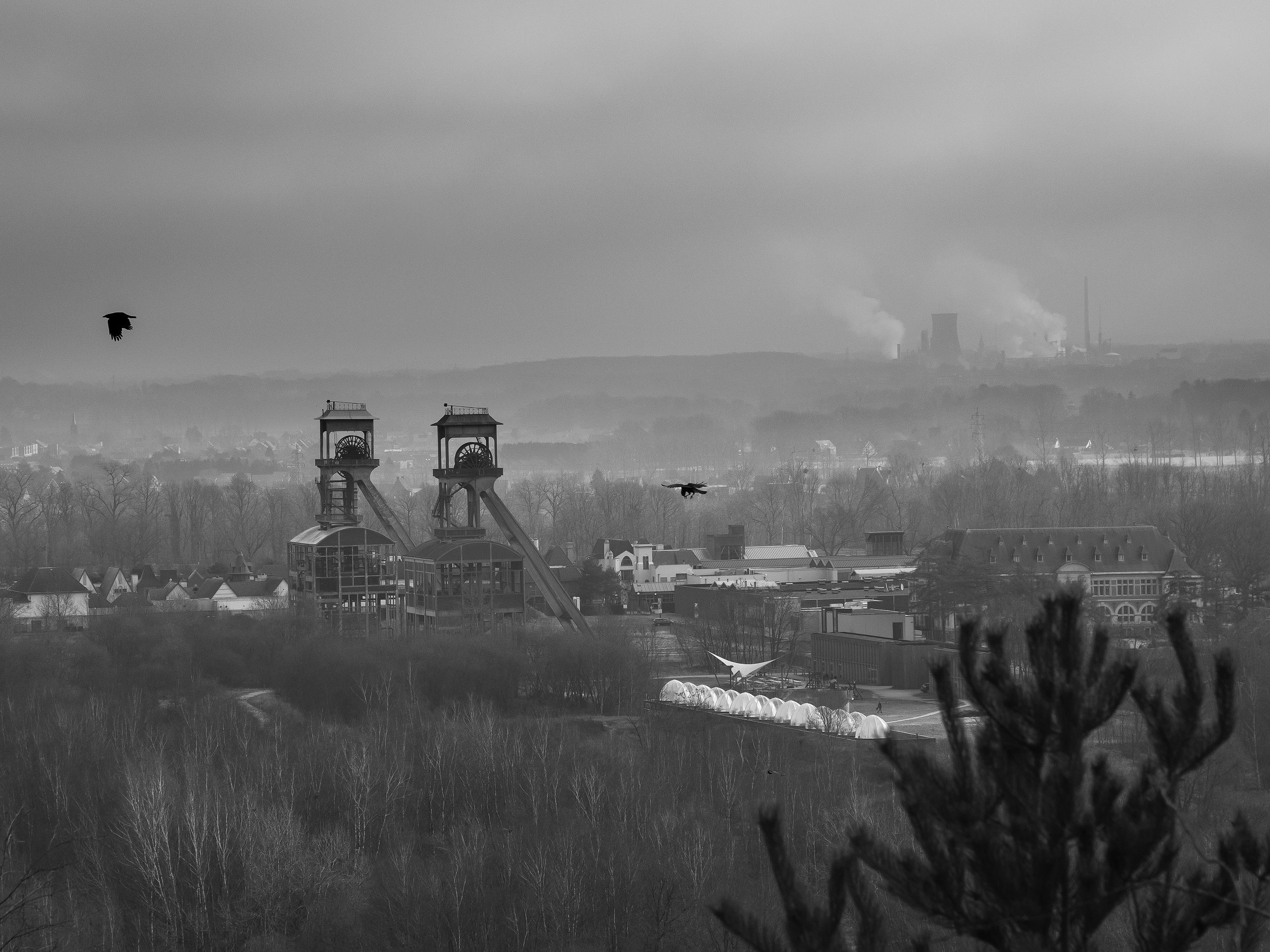 DSC_0594.jpg