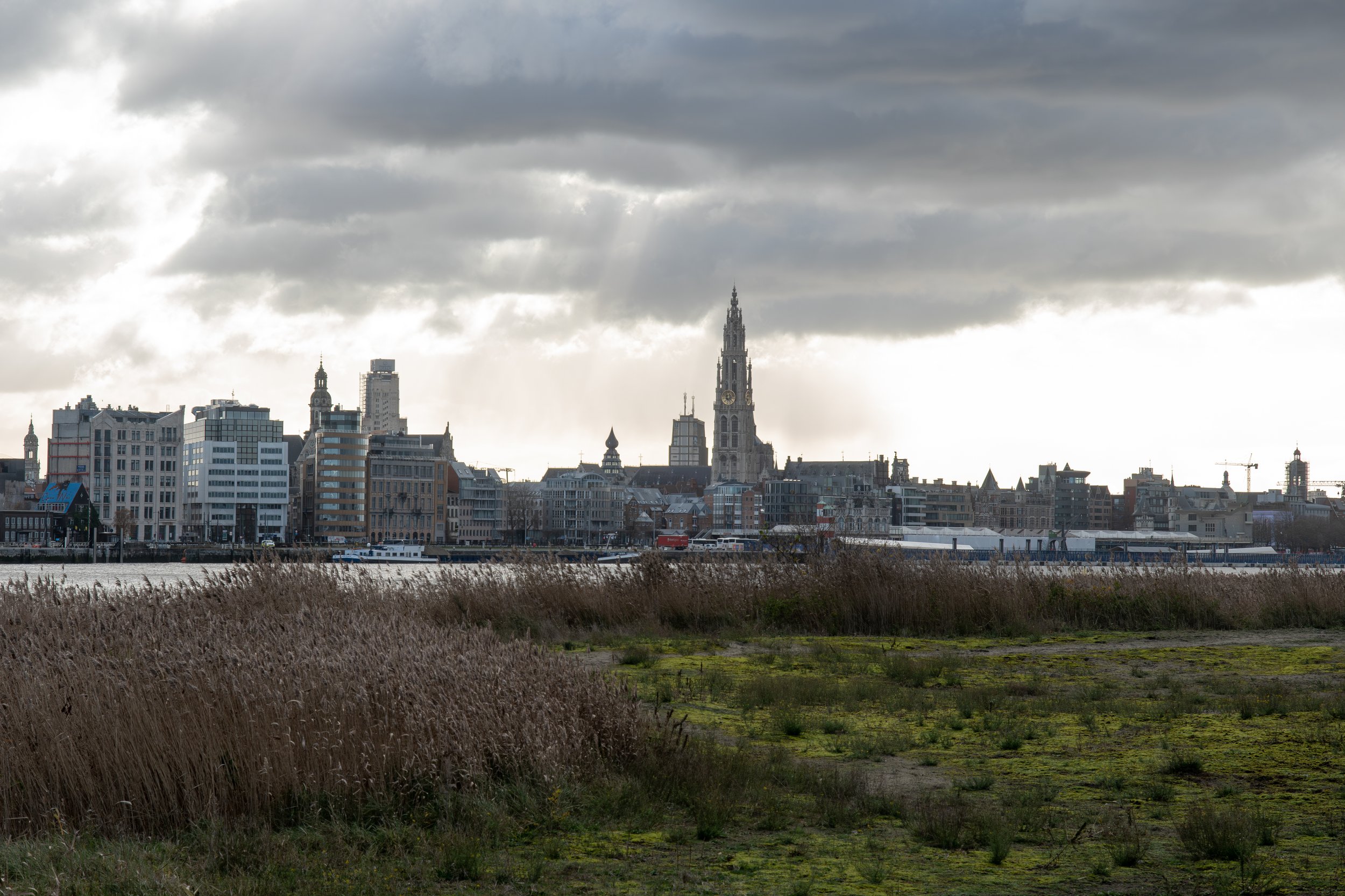 DSC_2347.jpg