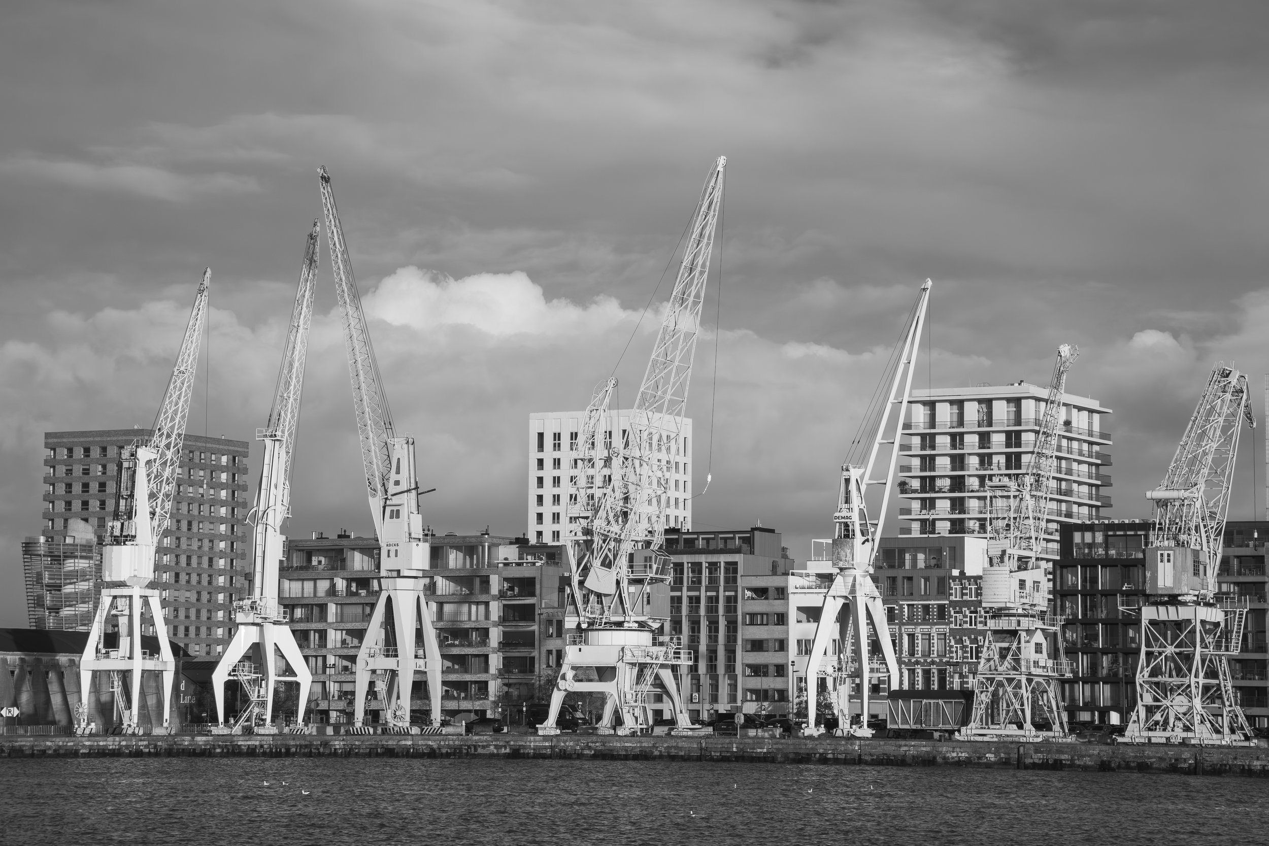 DSC_2655.jpg