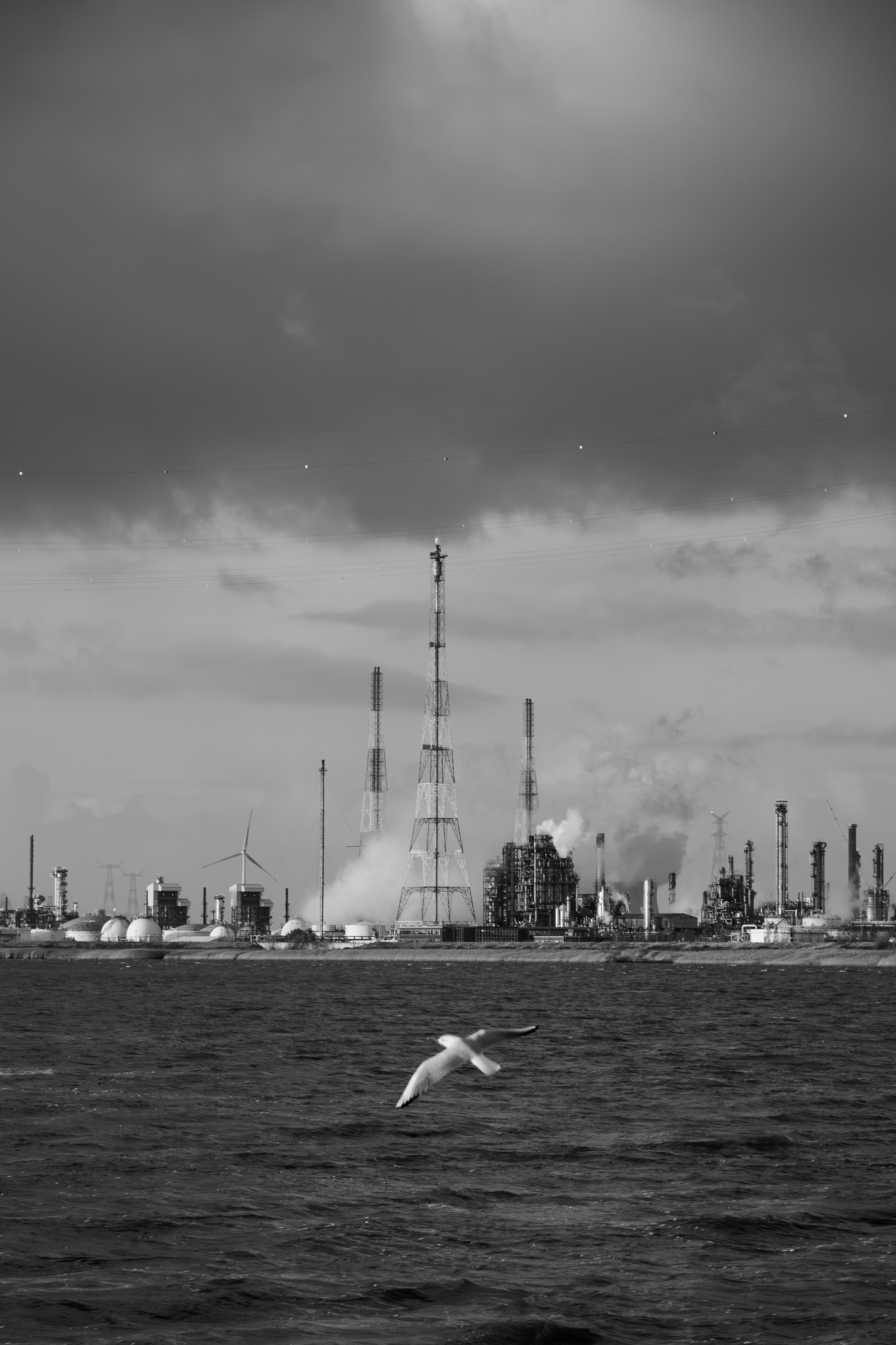 DSC_2699.jpg