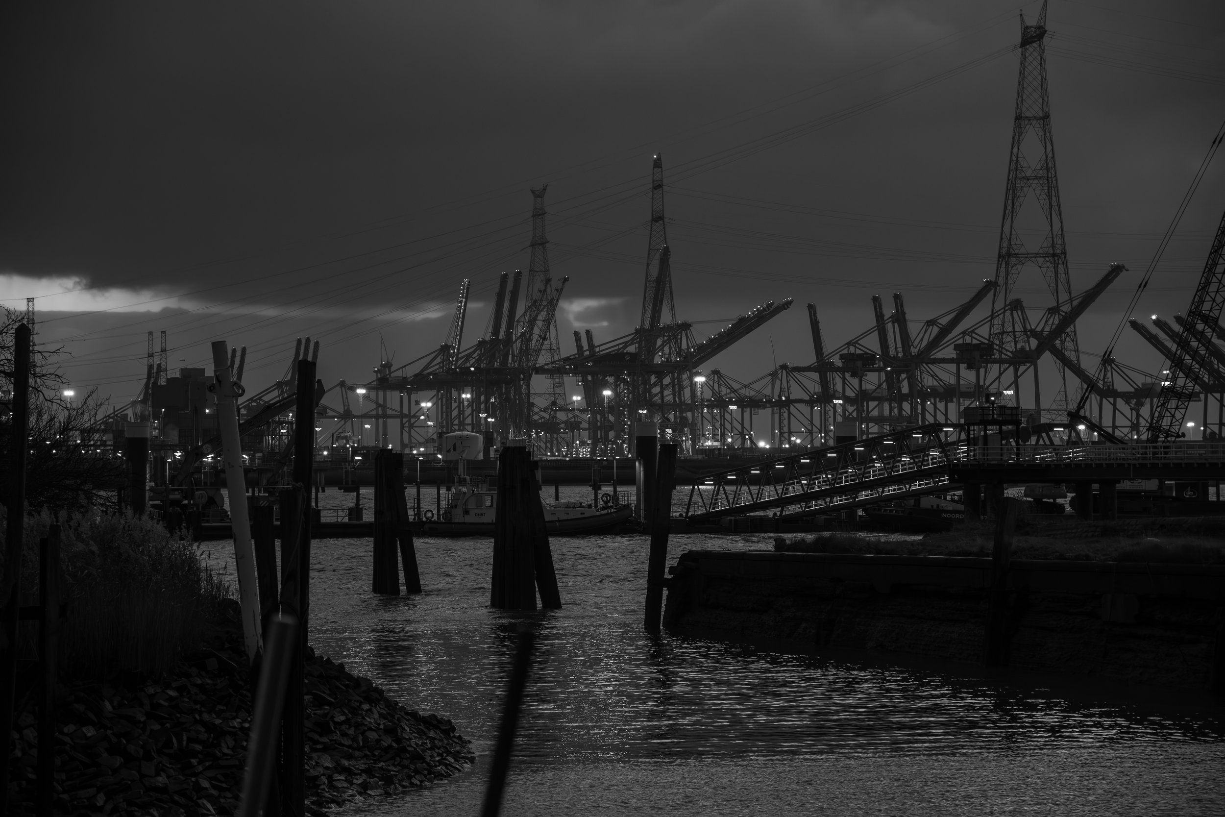 DSC_2923.jpg
