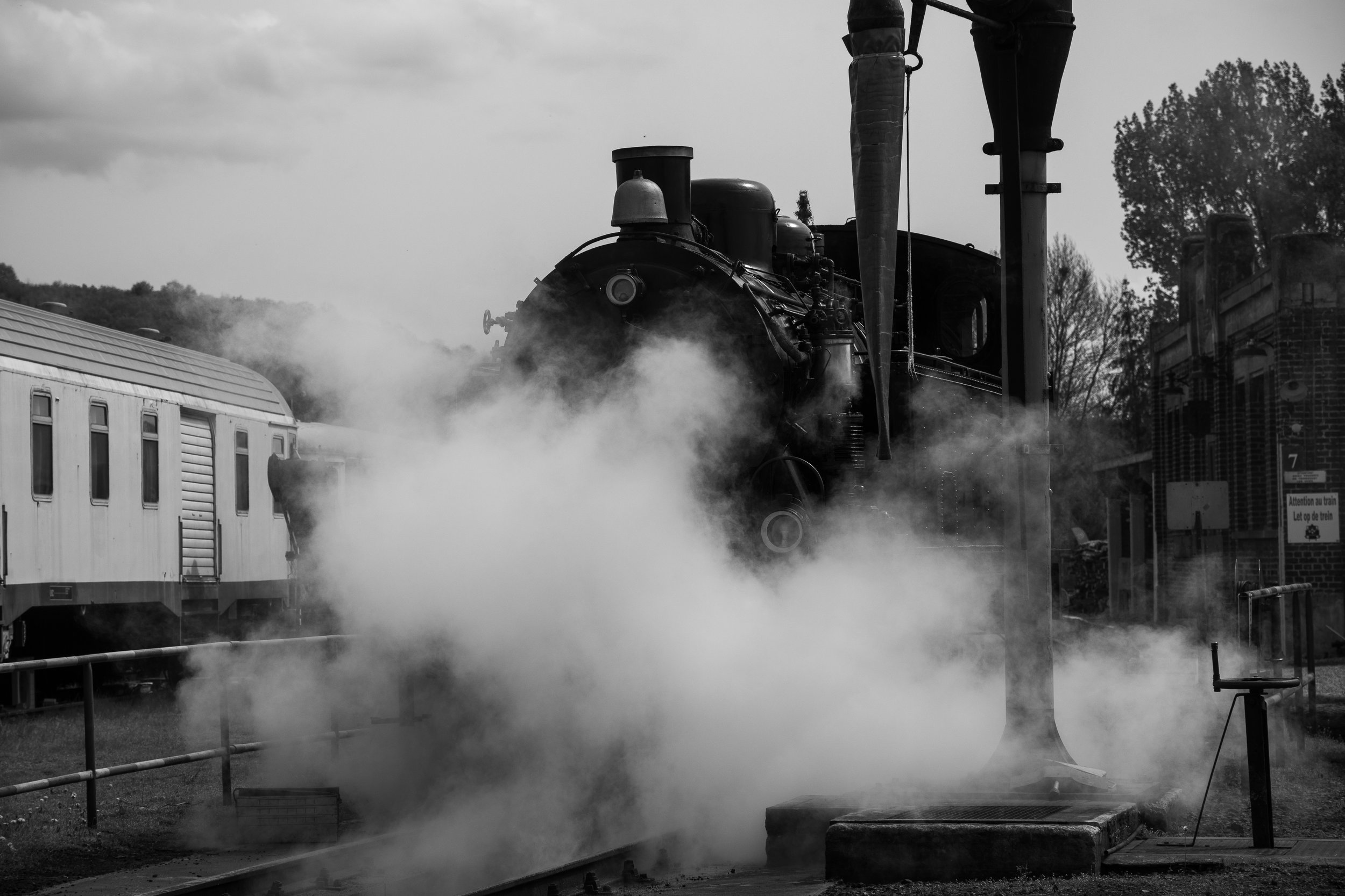 DSC_3401.jpg