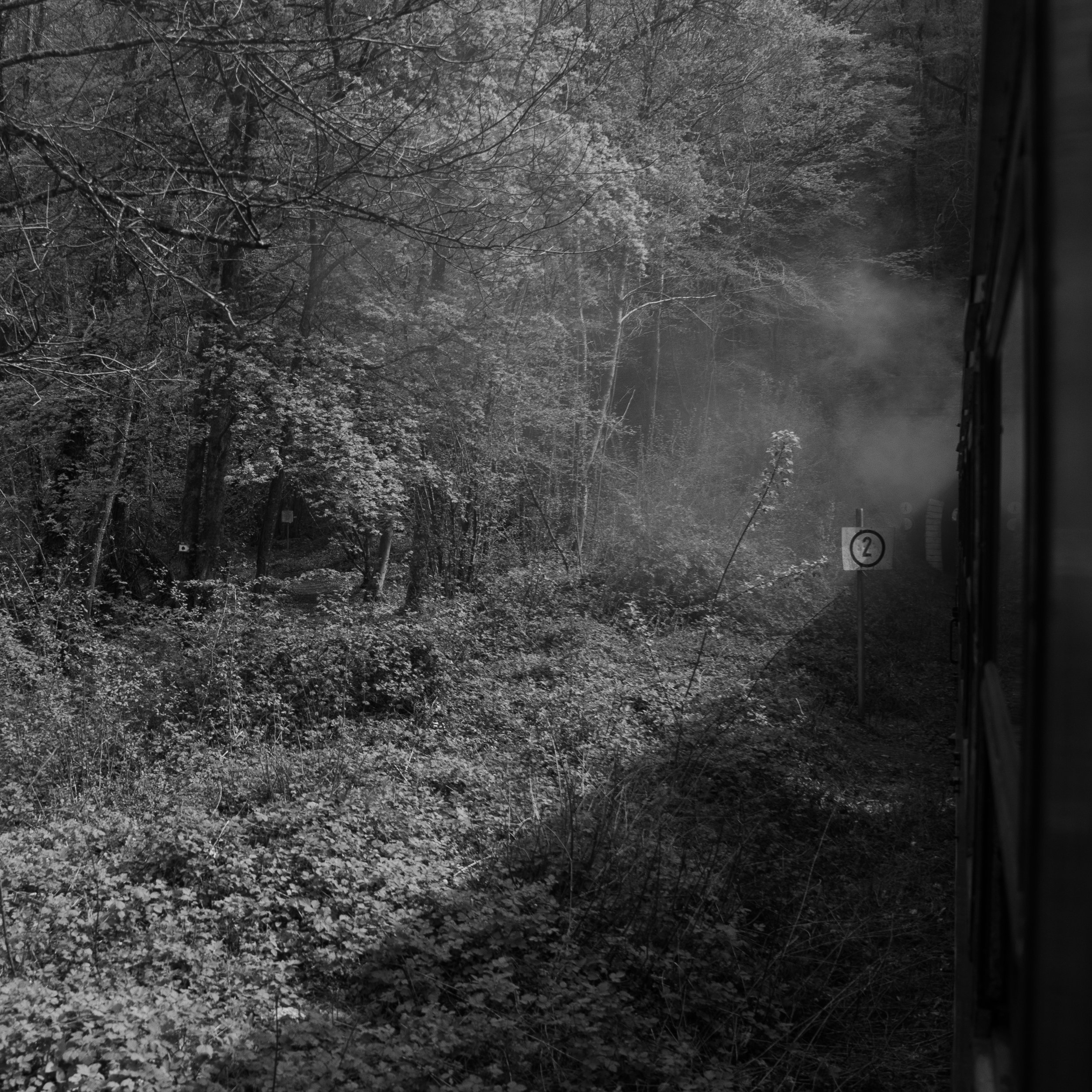 DSC_3480.jpg
