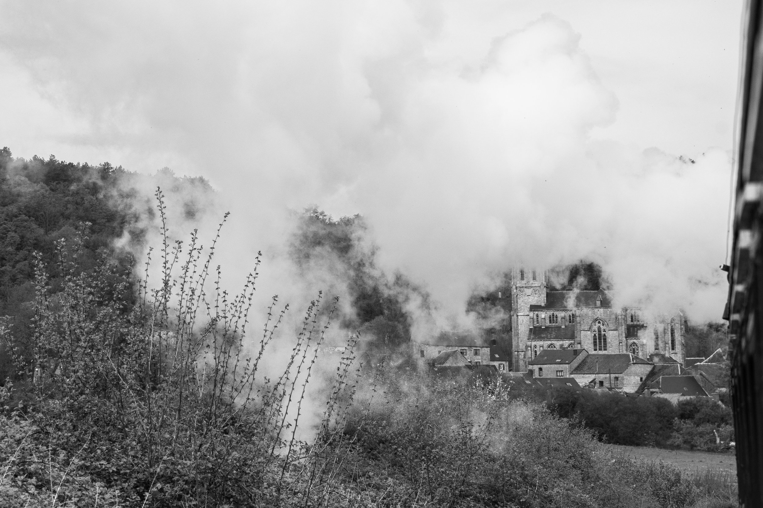 DSC_3515.jpg