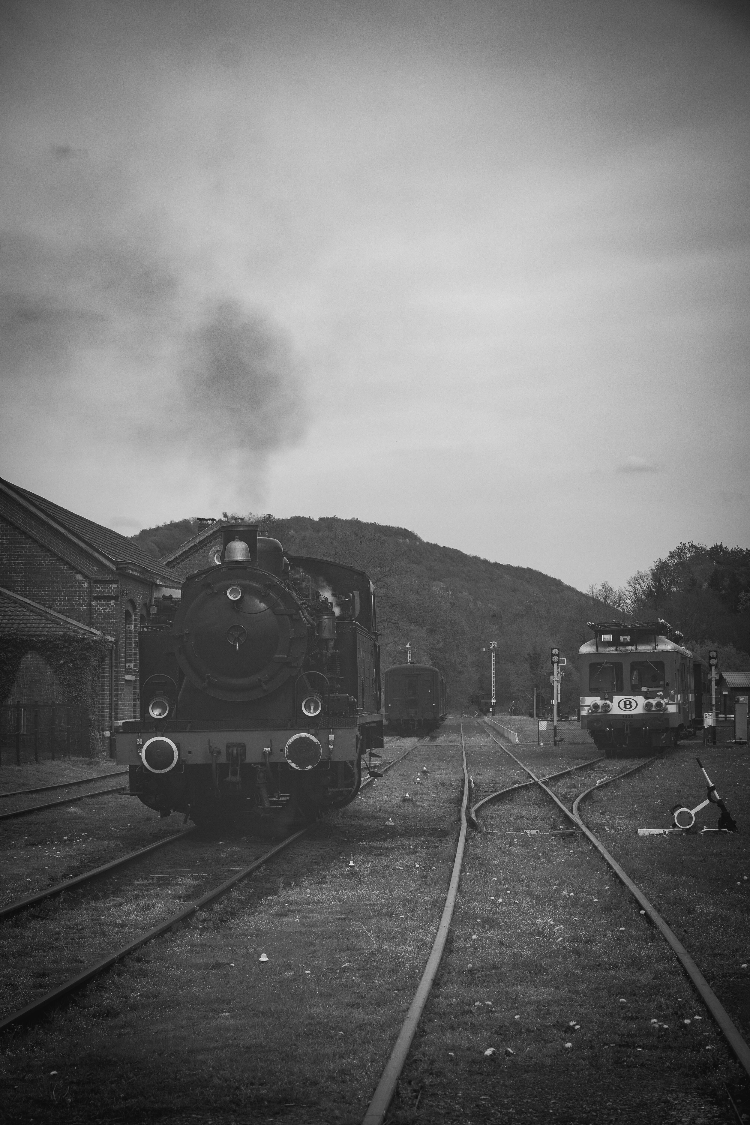 DSC_3569.jpg