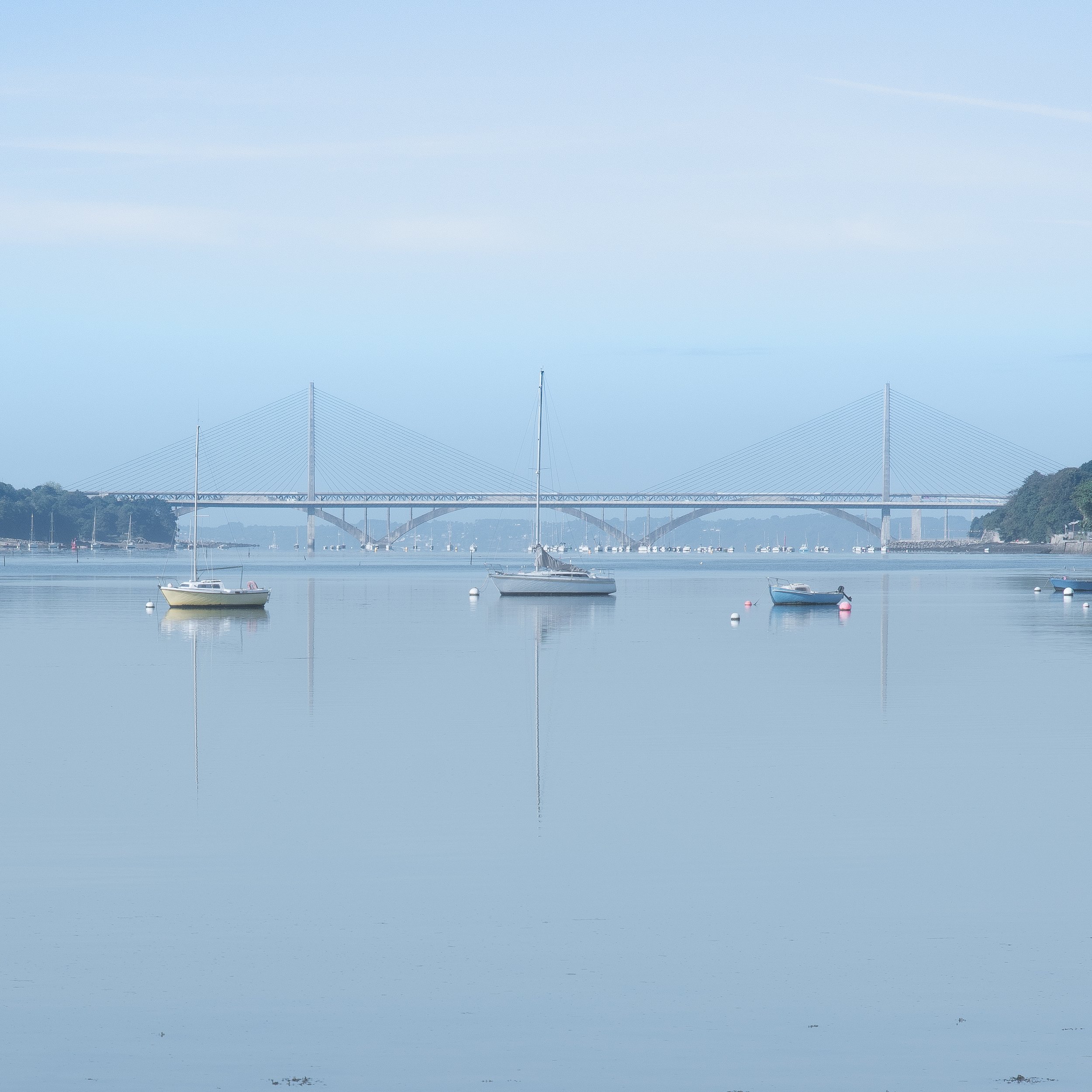 DSC_4916.jpg