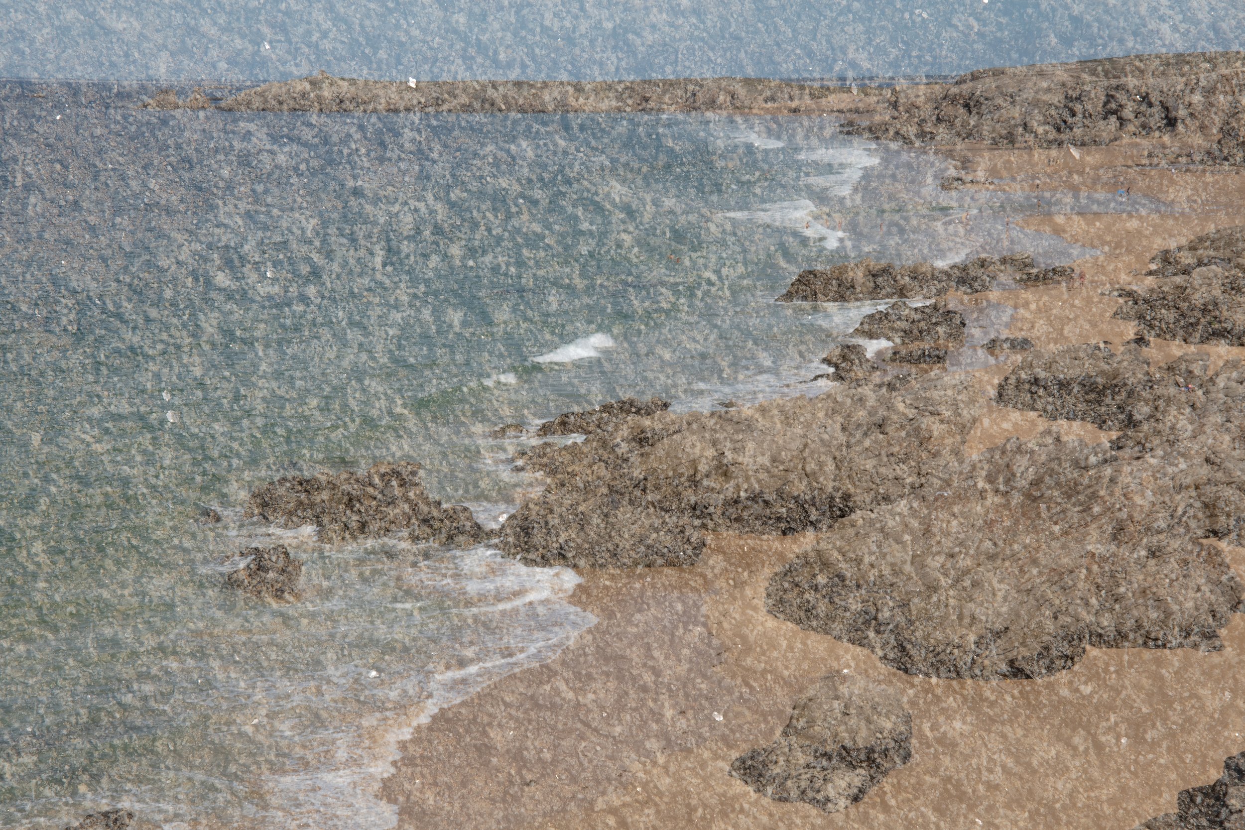 DSC_6442.jpg