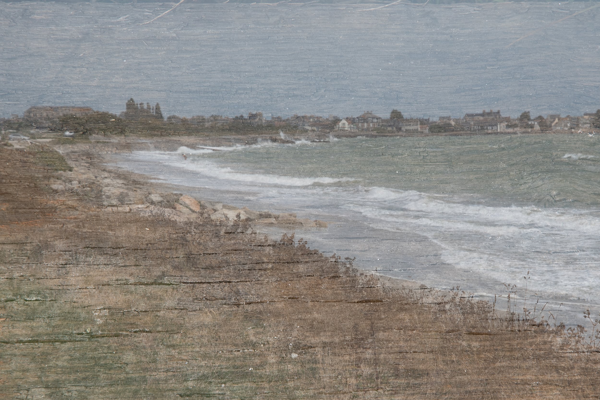 Mer et bois, Cotentin, France 2022