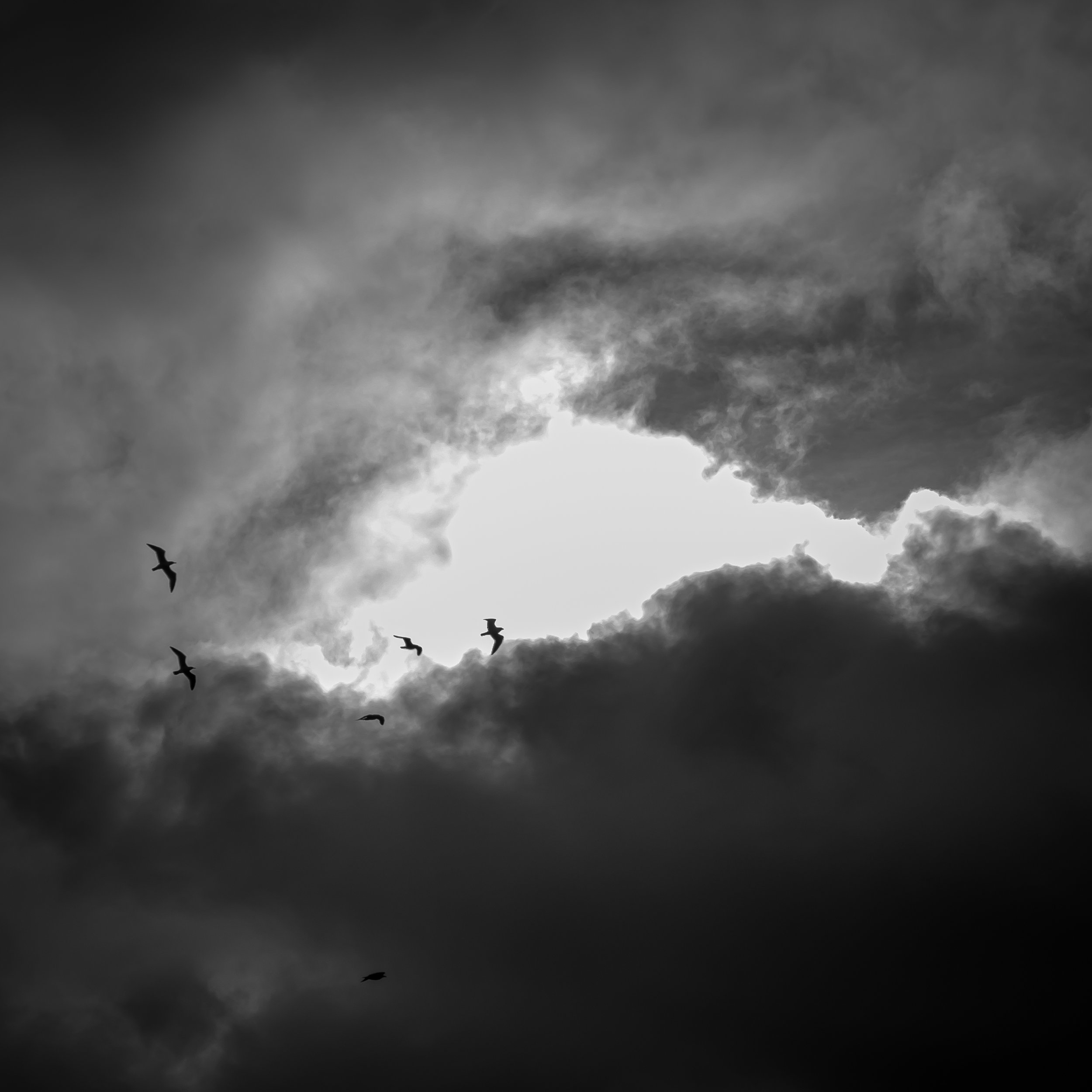 DSC_9857.jpg