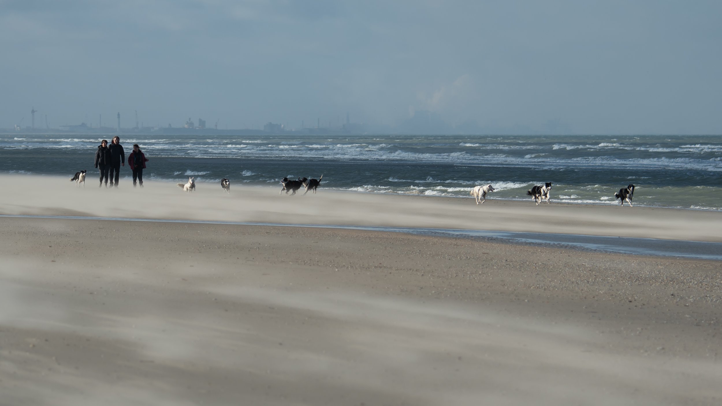 DSC_9940-2.jpg